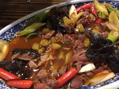 -禧福徕盆盆香川菜馆(北京市朝阳区)