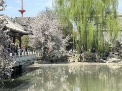 -莲池书院博物馆