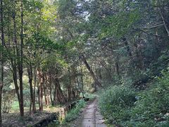 -西湖风景区十里琅珰-五云山