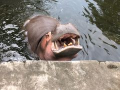 -西安秦岭野生动物园