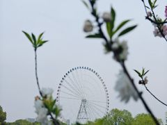 -无锡蠡湖国家湿地公园-蠡园