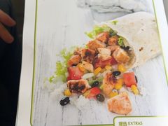 -油梨树AVOCADO TREE(顺义新国展店)