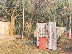 -东湖小天池真人CS彩弹野战基地
