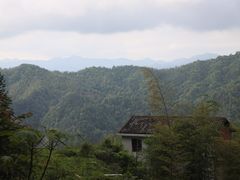 -大围山国家森林公园
