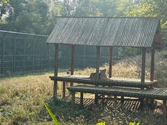 -扬州市茱萸湾风景区