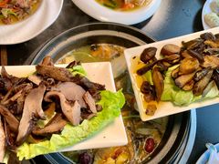 -野菌皇海景野生菌火锅(滨海大道店)