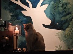 -咖法森林·咖啡  酒吧(天河店)