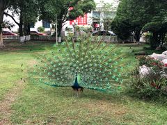 -西昌邛海宾馆