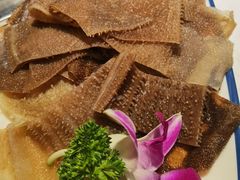 -渝蛙先生领鲜美蛙老火锅