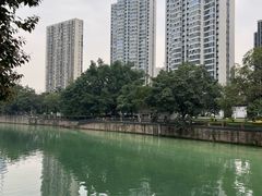 -成都市活水公园