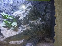 -海南热带野生动植物园