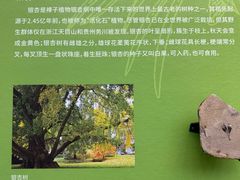 -杭州植物园