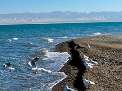 -青海湖国家重点风景名胜区