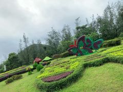 -东部华侨城