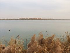 -包头南海湿地景区