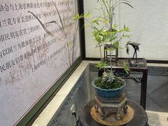 -上海醉白池公园