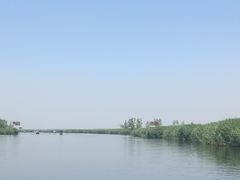 -白洋淀景区