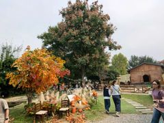 -HERRE·FARM 赫尔露营农场·团建聚会包场