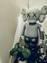 -玛莲朵·海菲秀冰珀科