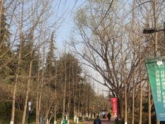 -城市运动公园(未央区)