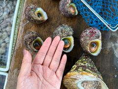 -三亚西岛海洋文化旅游区
