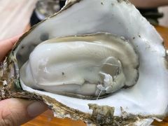 阳江炊蚝-大富蚝乌东哥饭店·石锅鱼杂·柠檬鸭(革新路店)
