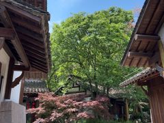 -中国茶叶博物馆(双峰馆区)