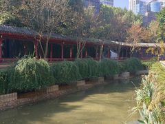 -龙潭水乡