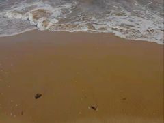 -金梦海湾浴场