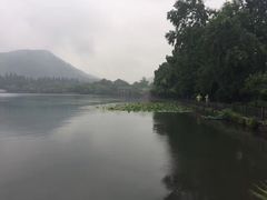 -西湖游船