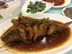 -金春禧(英雄山路旗舰店)
