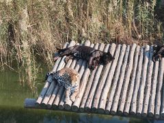 -西霞口神雕山野生动物世界