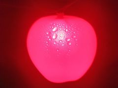 -昆山城市生态森林公园