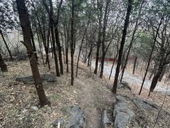 -阳台山自然风景区