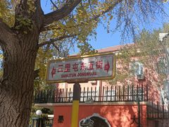 -三里屯东五街银杏大道