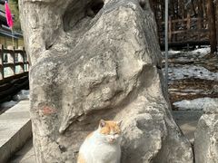 -四门塔风景区