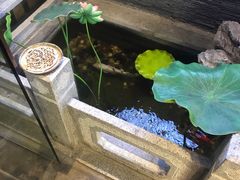 -知足堂养生会所(碑亭巷店)