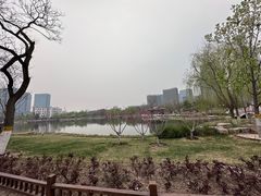 -西海子公园