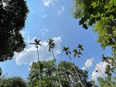 -中国科学院西双版纳热带植物园