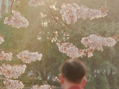 -红星桥(地铁站)