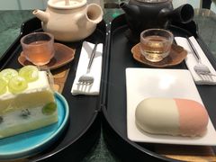 红白胶囊-青山研究所Aoyama Lab