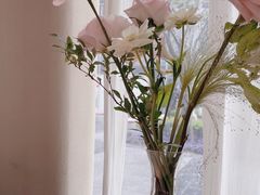 -Tomacado花厨(One ITC店)