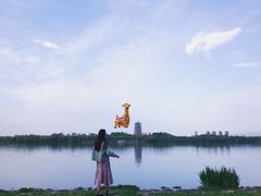 -灞河西岸滨河公园