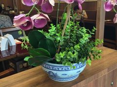 -宏状元现熬粥·京味菜(黄寺大街店)