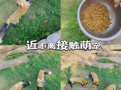 -郑州银基冰雪世界