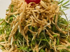 空心菜苗-打酱油·非遗淮扬菜(瘦西湖梅岭店)