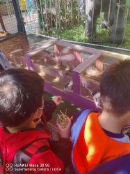 -萌宠亲子动物乐园(槐房万达店)