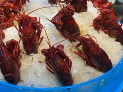 冰镇千醉龙虾-袁老大龙虾(石鼓路总店)