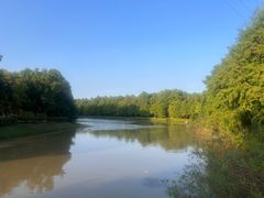 -上海海湾国家森林公园