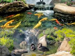 -罗红摄影艺术馆